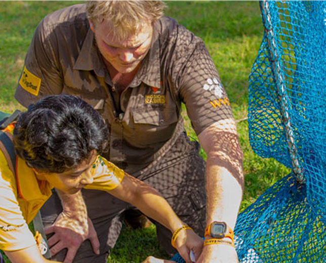 Dr. Gamble vaccinates a dog.