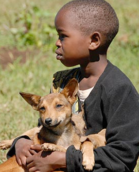 A young boy has just gotten his dog vaccinated for rabies.